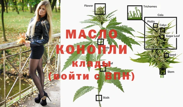 МДПВ Абаза