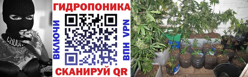 Каннабис конопля  omg ТОР  Курчатов  как найти  